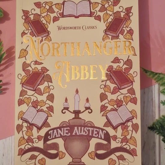 A close-up video showing the Honey Bee Hive acrylic bookmark with tassel being taken out of its packaging, with the intricate bee and honey illustrations displayed to the camera before the bookmark is placed inside a book.